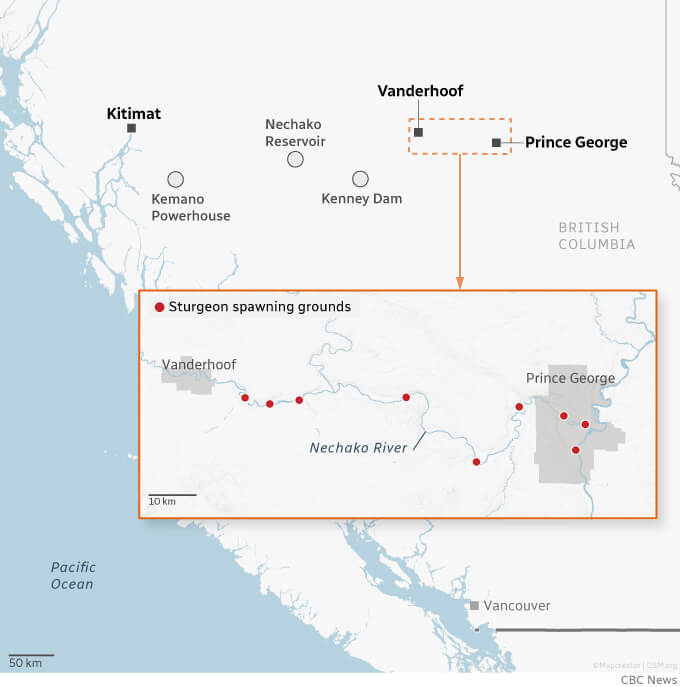 Map showing Sturgeon spawning grounds in British Columbia